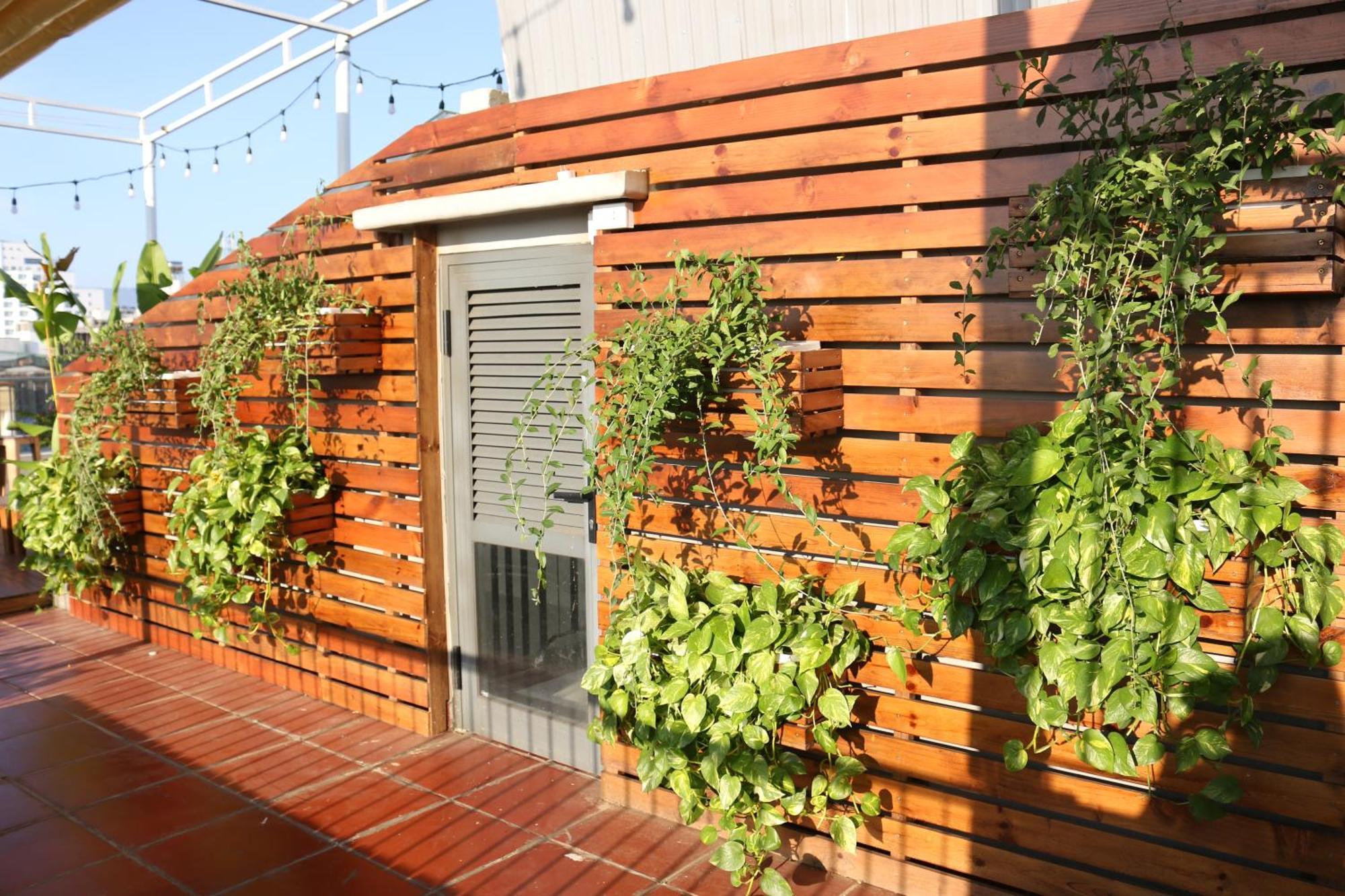 Mira De Sol Homestay Da Nang Luaran gambar
